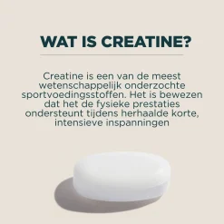 Sale Creatinemonohydraat Tabletten Performance Vitamines·Post-Workout|Performance Vitamines·Pre-Workout