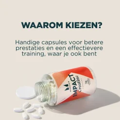 Sale Creatinemonohydraat Tabletten Performance Vitamines·Post-Workout|Performance Vitamines·Pre-Workout