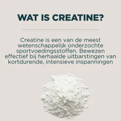 New Impact Creatine | Creatine Sachet Creatine·Creatine Monohydraat