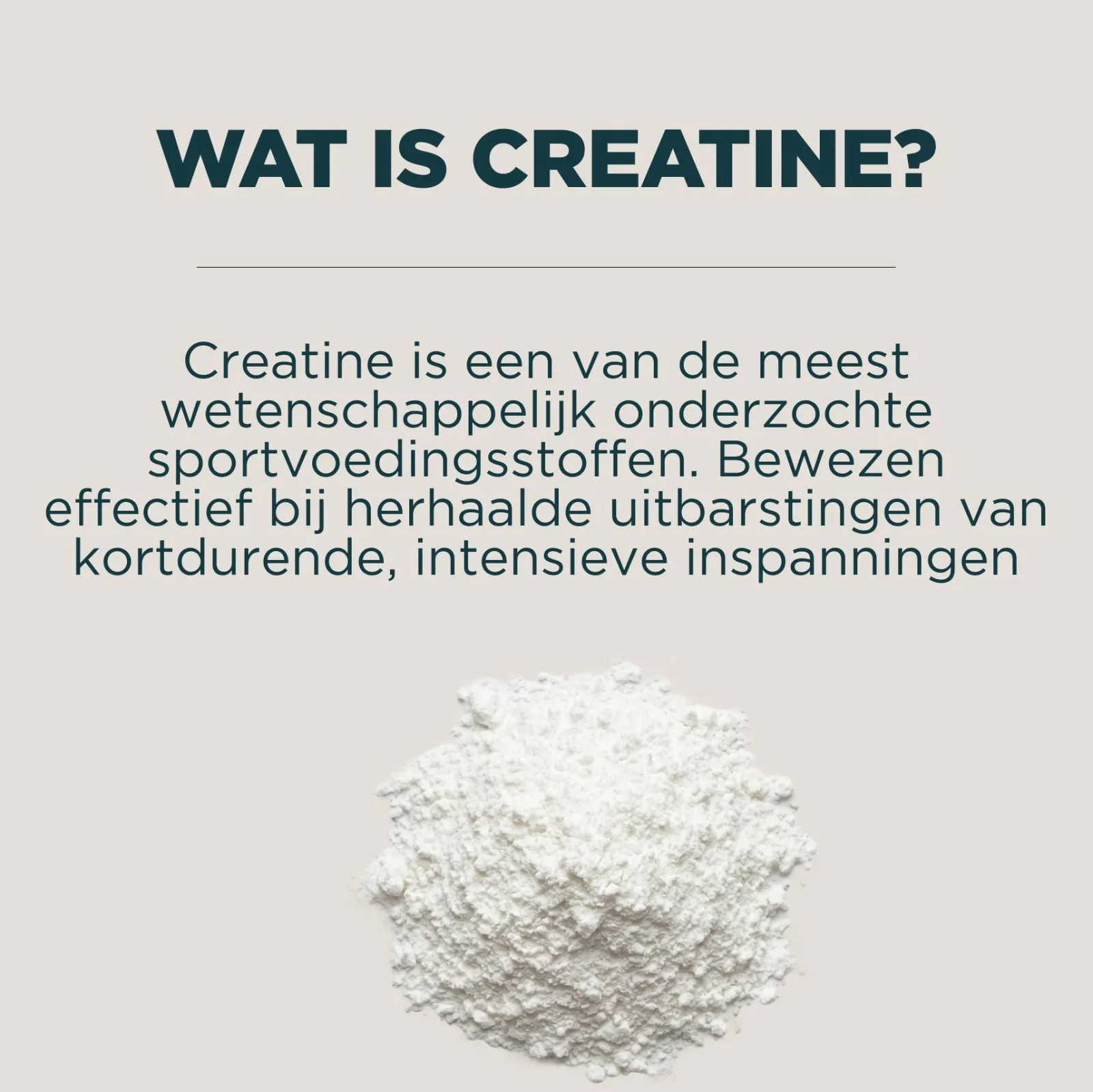 New Impact Creatine | Creatine Sachet Creatine·Creatine Monohydraat